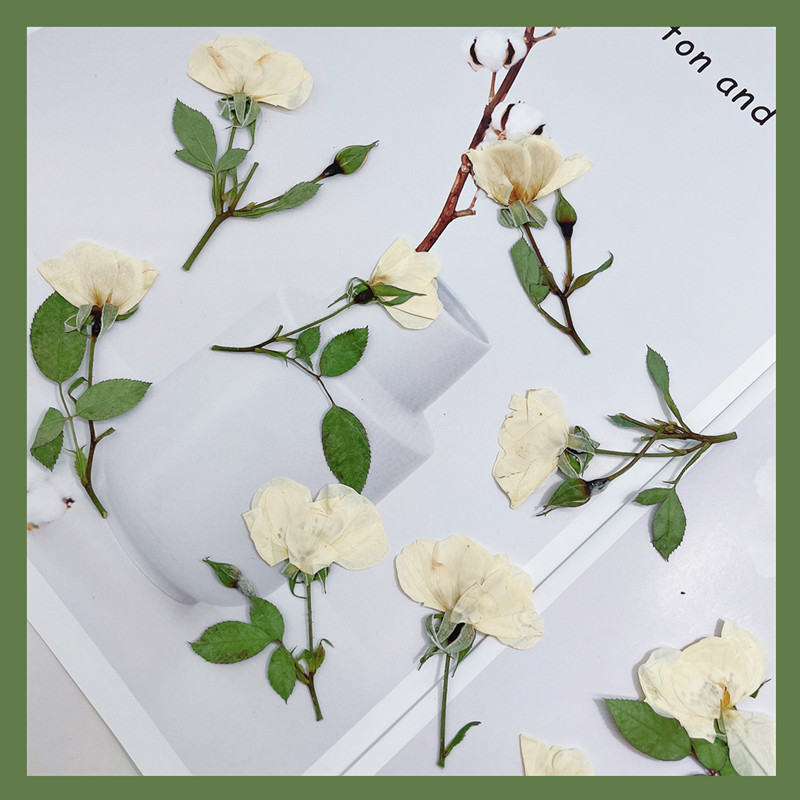 Wedding Card Box - 12個入り、ナチュラルホワイトピンクレッドローズの枝、本物の押し花DIYウェディング招待状、花嫁の花嫁介添人用ブックマーク、ギフトカード、スマホケースデコレーション
